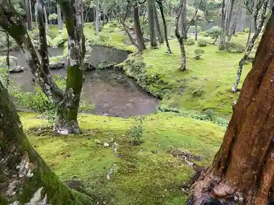 西芳寺(京都府)