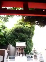 藤森稲荷神社の鳥居