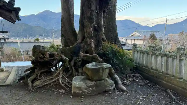 聖神社(兵庫県)