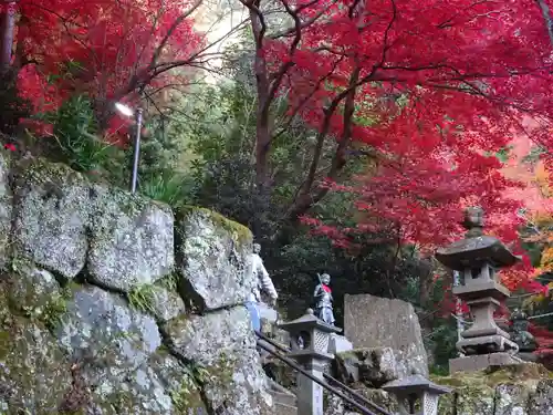 大山寺(神奈川県)