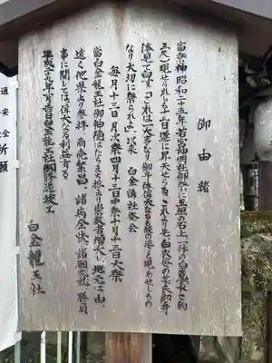 白金龍王社(愛知県)