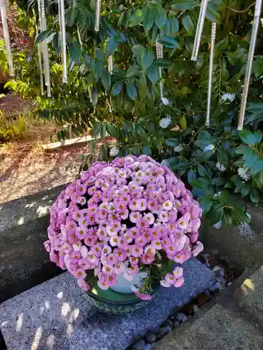開成山大神宮の自然