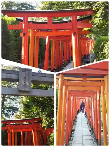 根津神社の鳥居