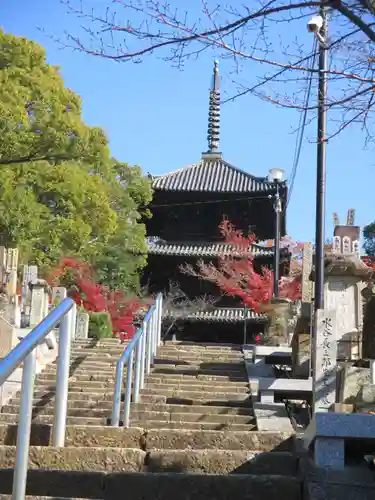 くろ谷 金戒光明寺(京都府)