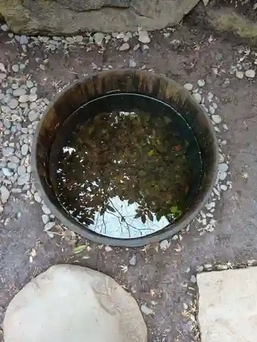 明治神宮(東京都)