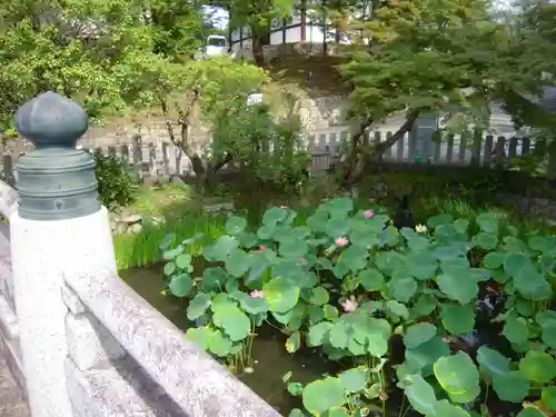 くろ谷 金戒光明寺の庭園