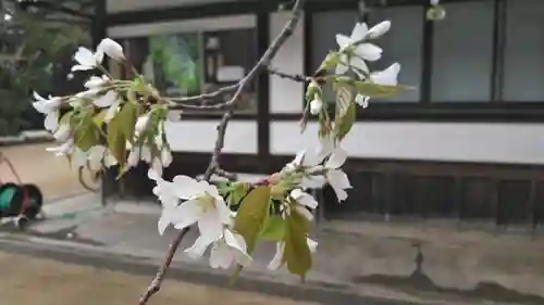 北野天満宮の自然