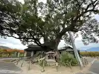 隠家の森の自然