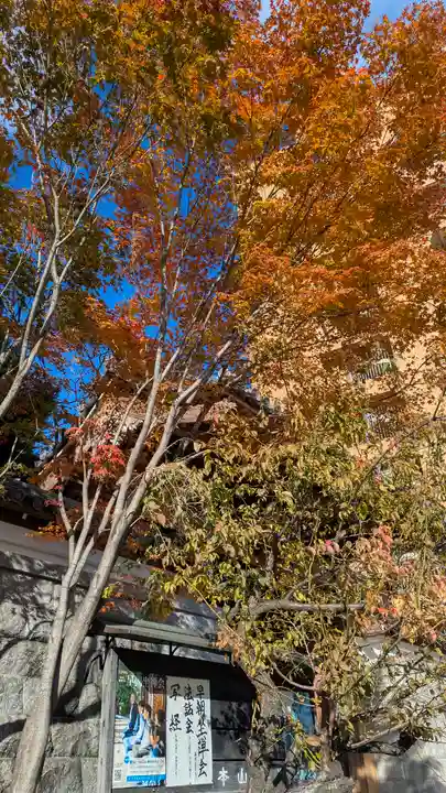 興聖寺(京都府)