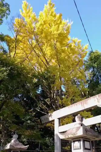 七所神社(愛知県)
