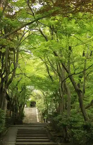 神峯山寺(大阪府)