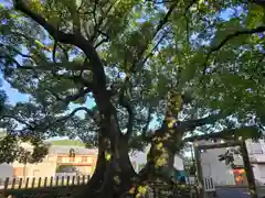 熊野三所大神社（浜の宮王子）(和歌山県)