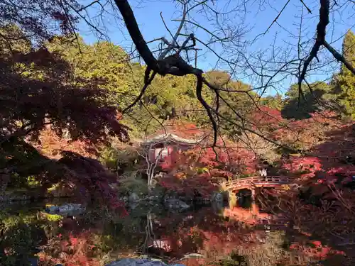 醍醐寺(京都府)