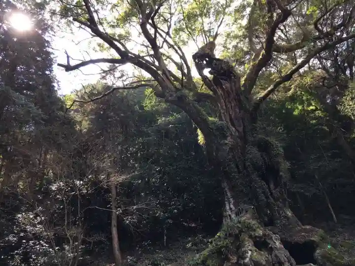 武雄神社(佐賀県)