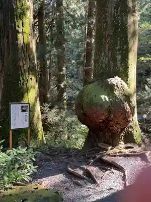 花園神社(茨城県)