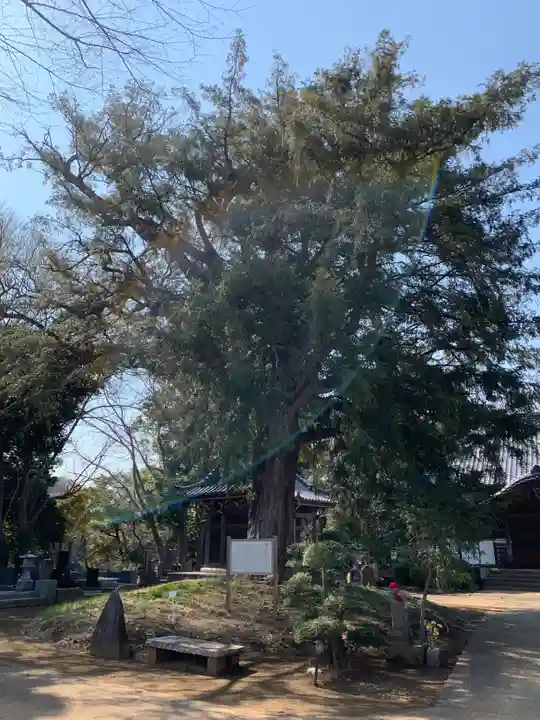 東源寺(千葉県)