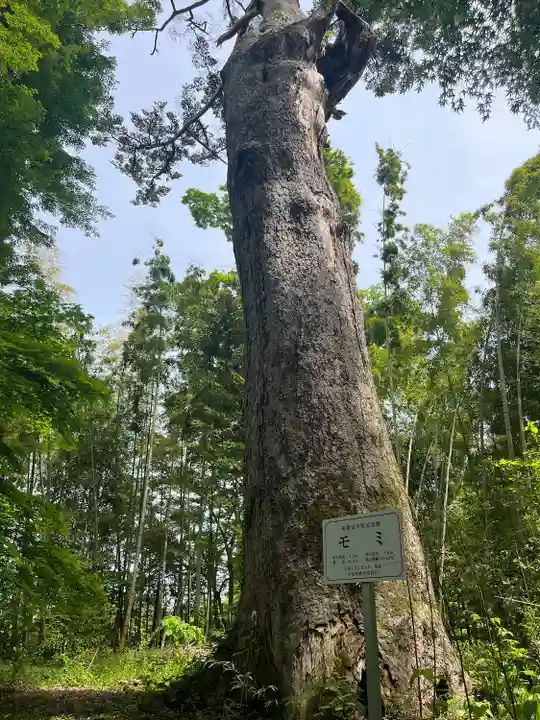大長寿院(岩手県)