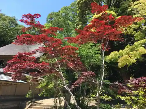 大洗磯前神社の庭園