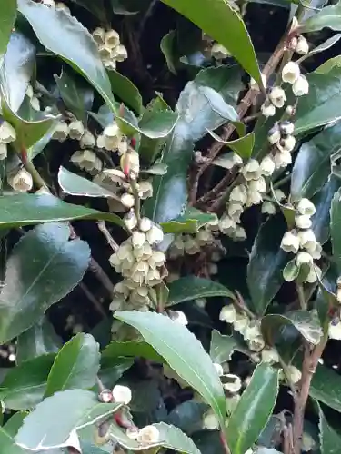 伏木香取神社(茨城県)