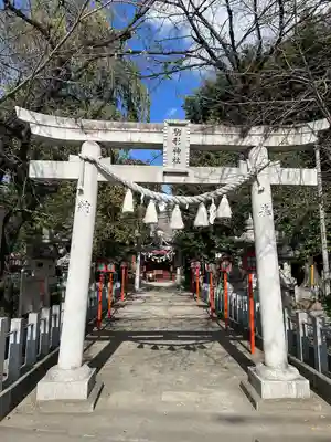 駒形神社(群馬県)