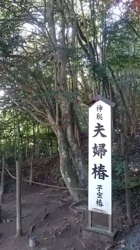 八重垣神社の自然