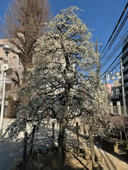 光源寺(東京都)