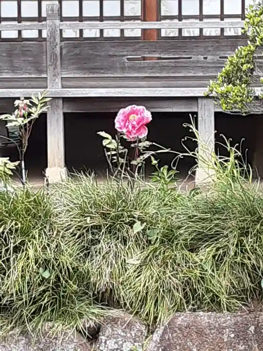 等覚院(神奈川県)