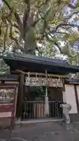 新熊野神社(京都府)