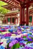 太宰府天満宮(福岡県)