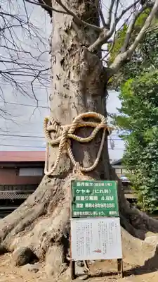 出雲大社相模分祠(神奈川県)