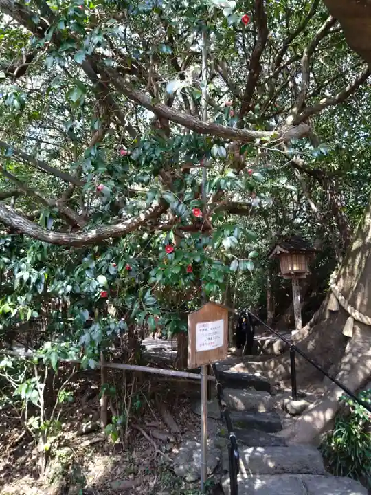 八大龍王水神(宮崎県)