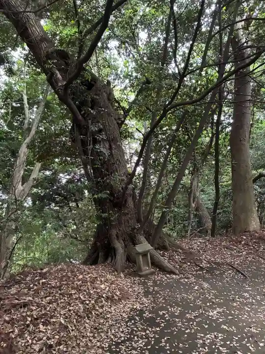 愛宕神社(千葉県)