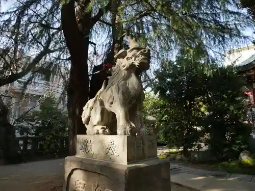 青山熊野神社の狛犬