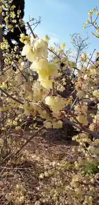 遍照院(埼玉県)