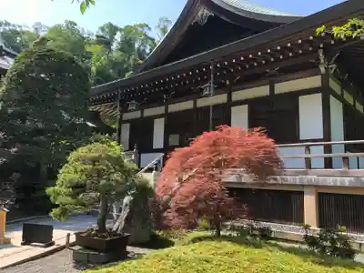 報国寺(神奈川県)