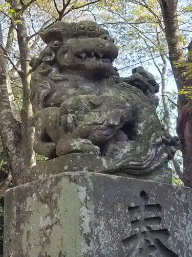 満志麻川神社の狛犬