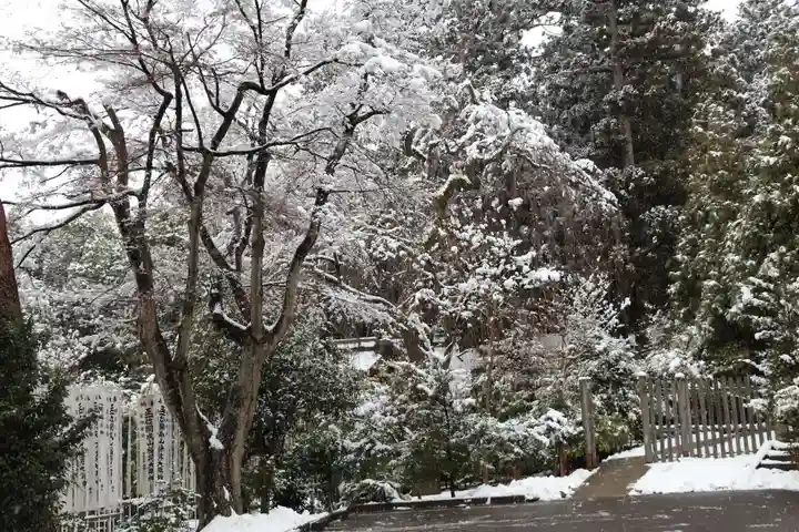 開成山大神宮の景色
