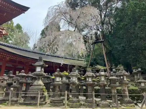 春日大社(奈良県)