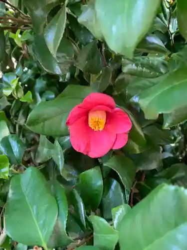 新町諏訪神社の自然
