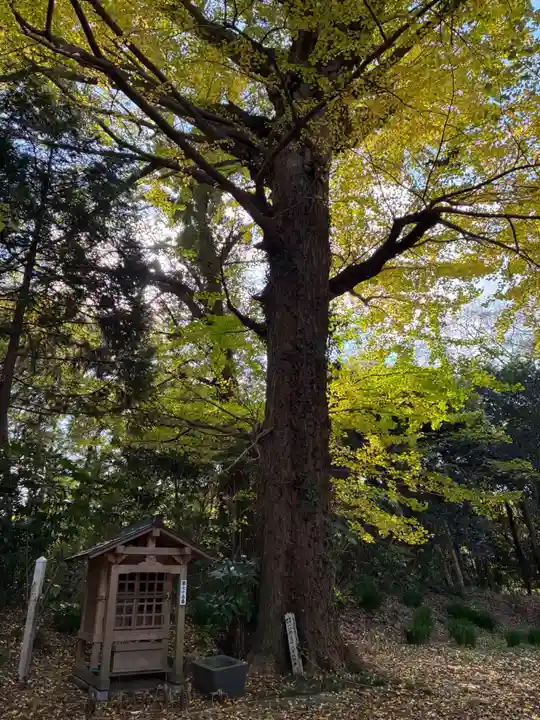 薬師堂厳島神社(千葉県)