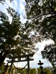 白鳥神社(長野県)