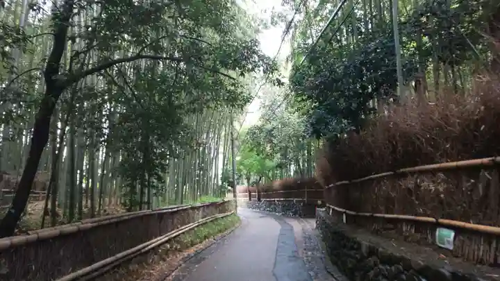 野宮神社の周辺