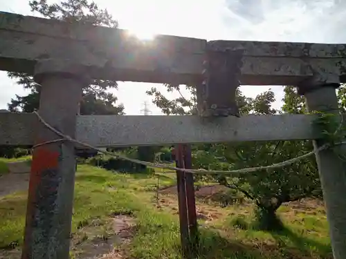 小玉神社の鳥居