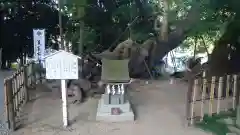 草薙神社(静岡県)