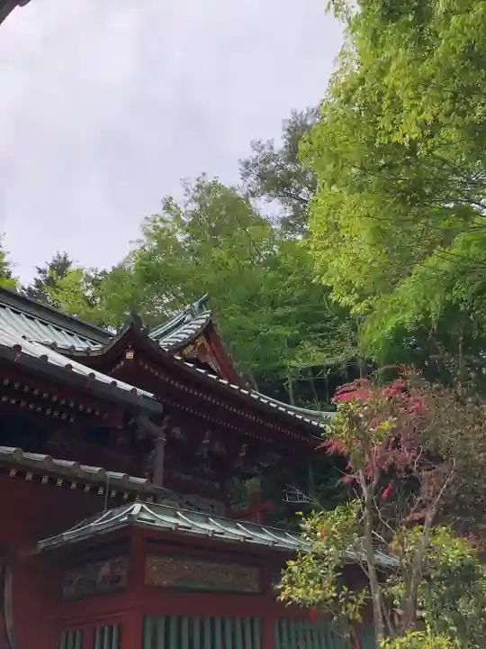 高尾山薬王院の本殿・本堂