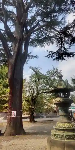 寛永寺(根本中堂)(東京都)