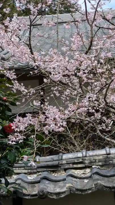 十輪寺(京都府)