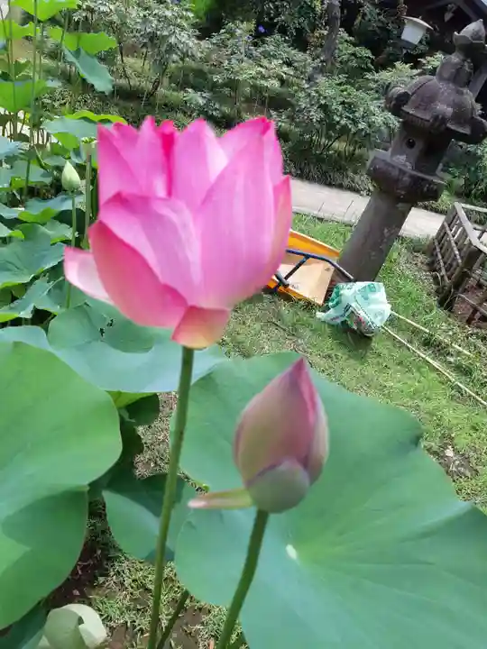 金乘院(千葉県)