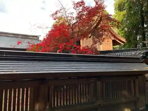 胡宮神社（敏満寺史跡）の本殿・本堂
