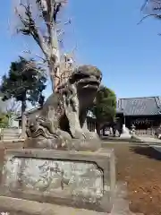 赤塚諏訪神社(東京都)